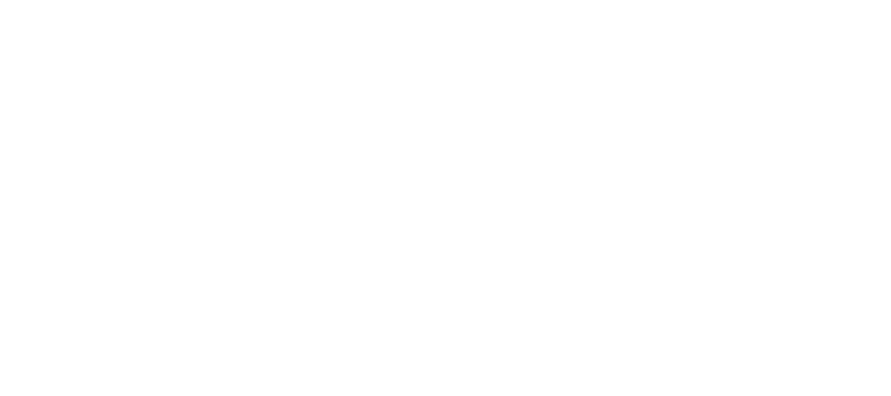 인트브릿지